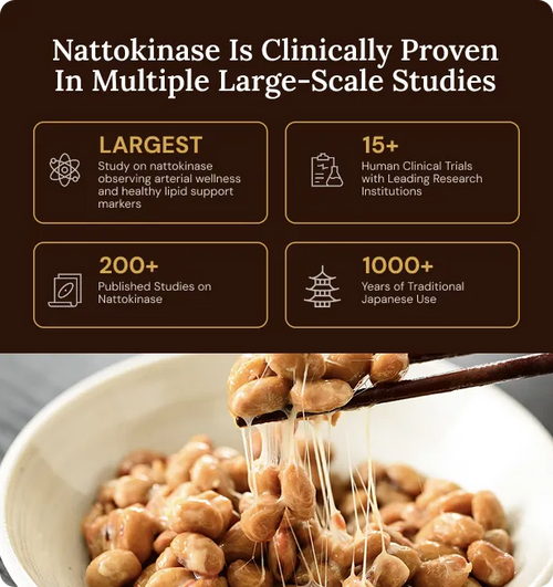 Daizu — Nattokinase