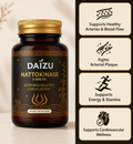 Daizu — Nattokinase